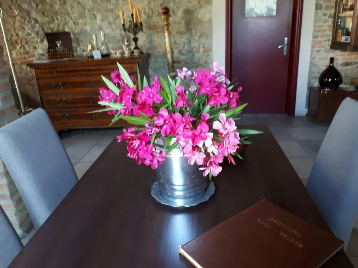 Alloggio per agriturismo Villa Casa Selene Rocchi Savignano sul Panaro